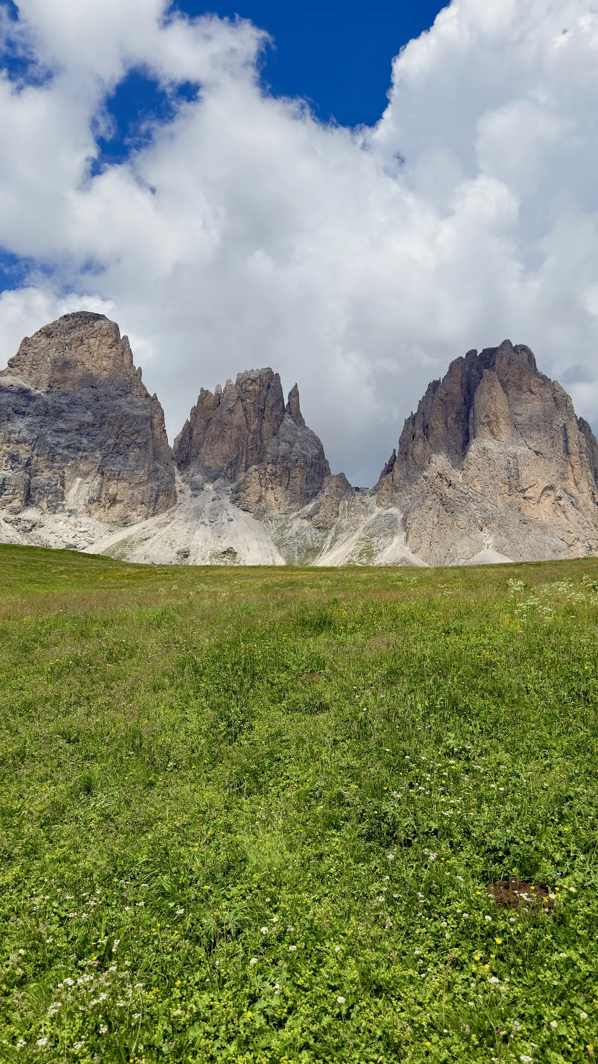 Sassolungo seen from a green field in the Dolomites