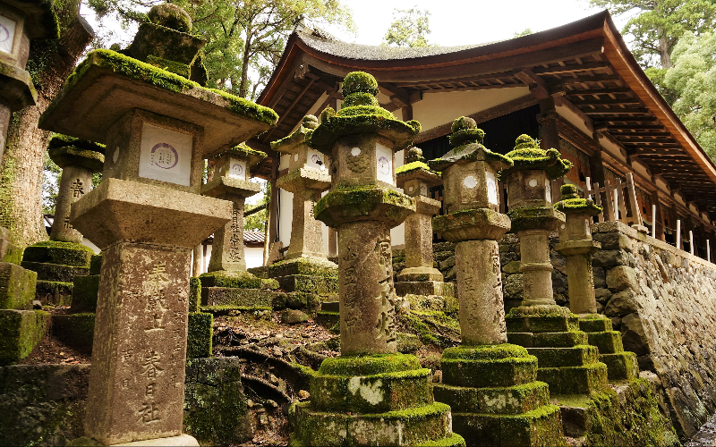 Kasuga Taisha shrine with stone lanterns in Nara, Japan