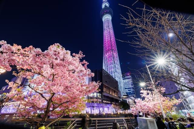 Tokyo Skytree, the tallest tower in Tokyo