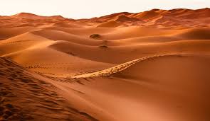 Dunas de Erg Chebbi ao amanhecer com luz dourada sobre a areia no Deserto do Saara, Merzouga, Marrocos