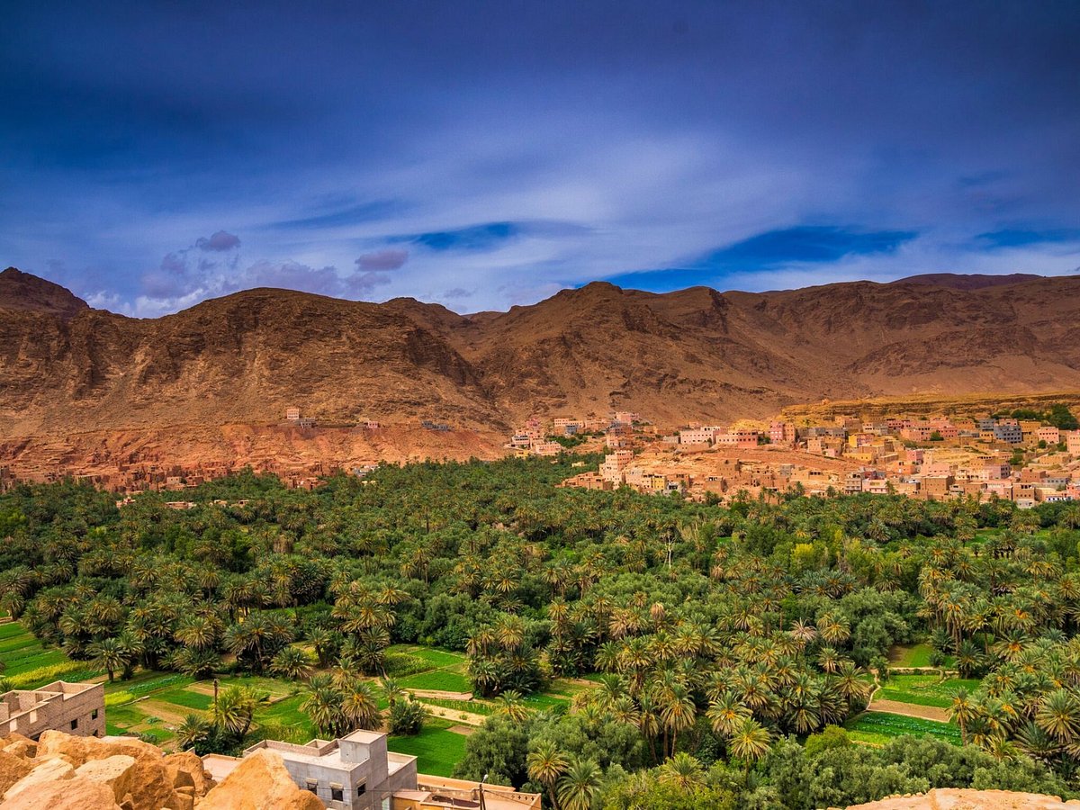 Palmeirais de Tinghir com casas tradicionais e montanhas secas ao fundo no sul do Marrocos