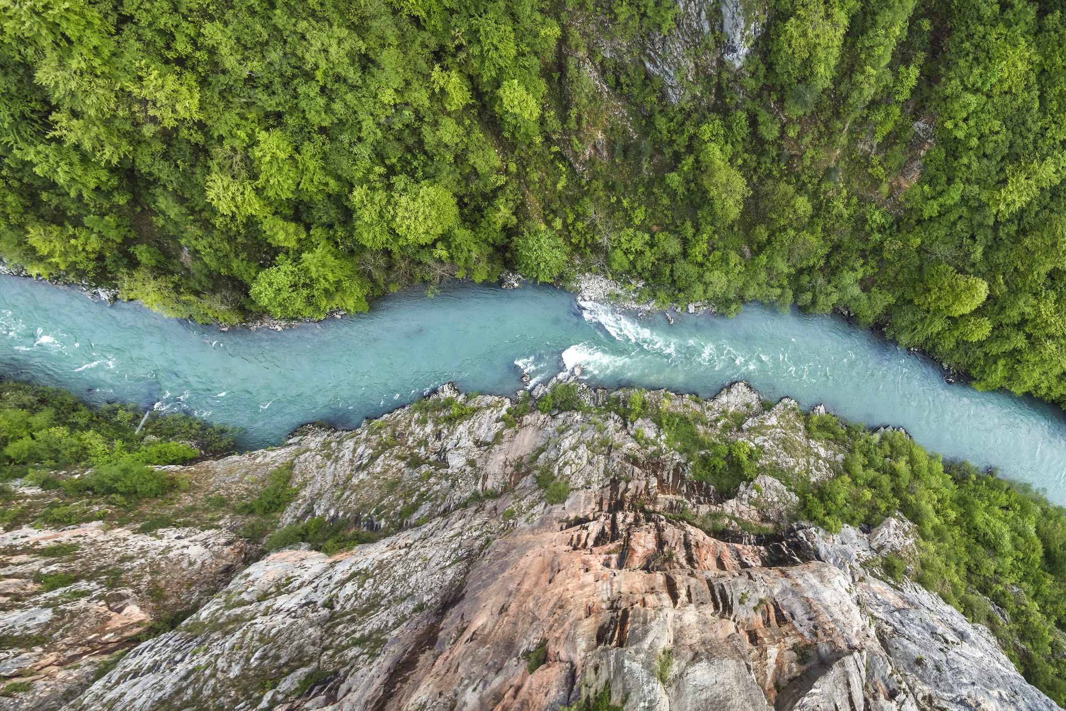 Tara Bridge sobre o Cânion do Tara com vegetação densa e o rio ao fundo, Montenegro